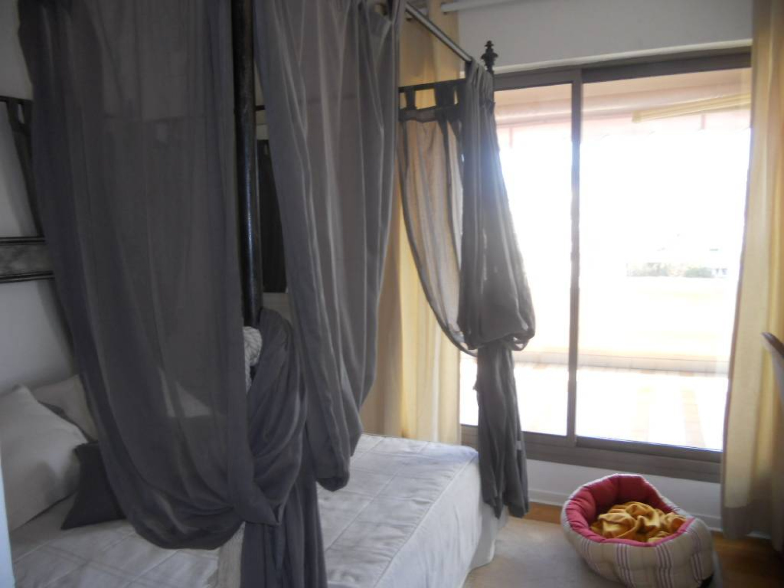 Image_, Appartement, Nice, ref :603424