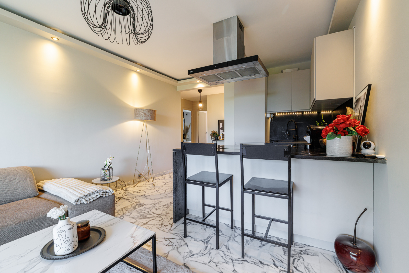 Image_, Appartement, Nice, ref :VAP250008016