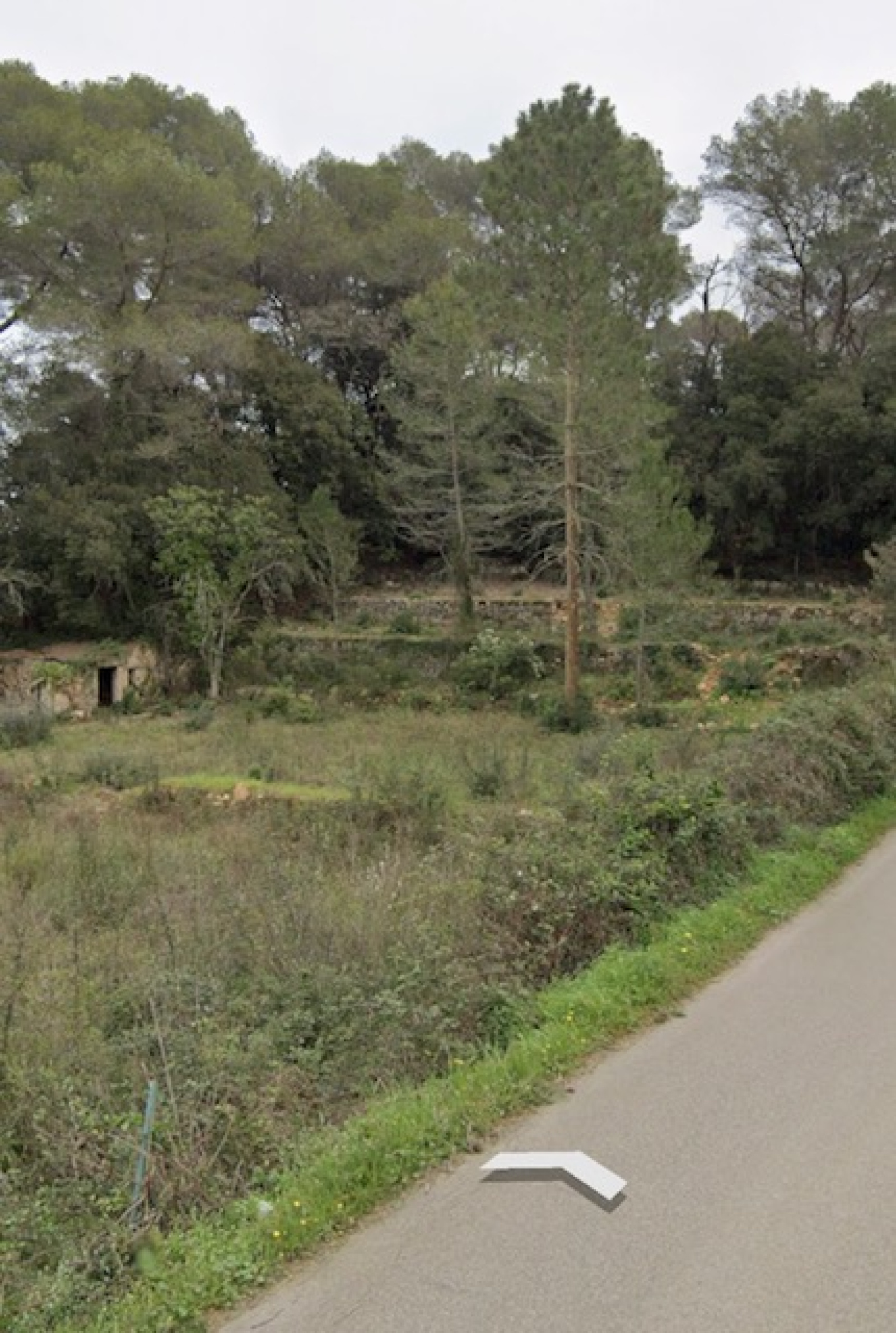 Image_, Terrain à batir, Mougins, ref :VTE10007927