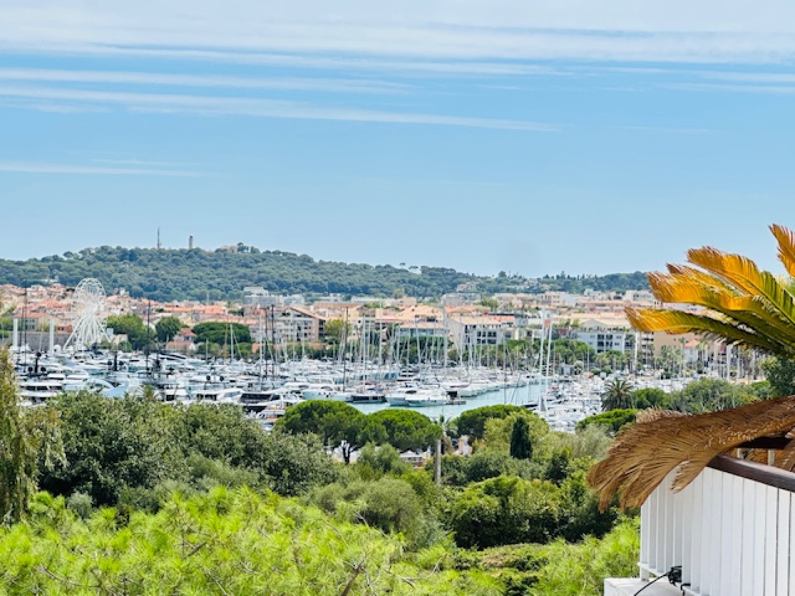 Image_, Appartement, Antibes, ref :VAP110007933