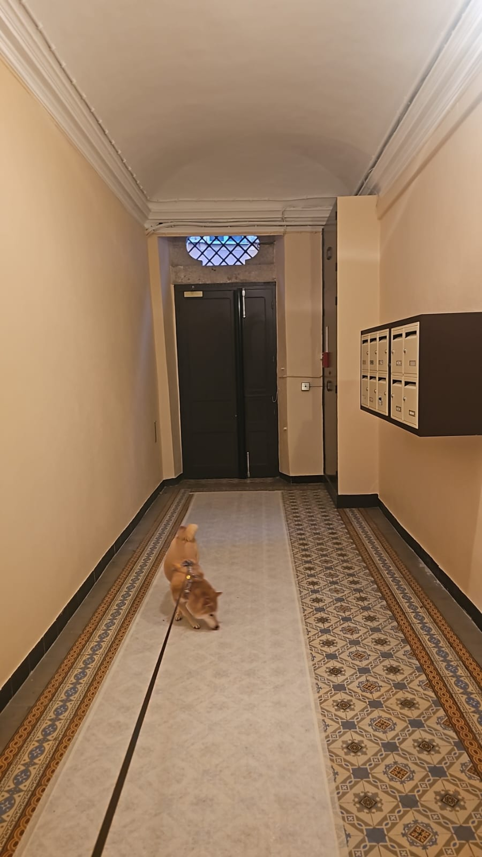 Image_, Appartement, Nice, ref :VAP110008064